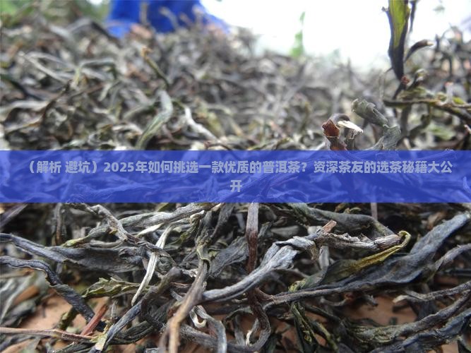 一款优质的普洱茶