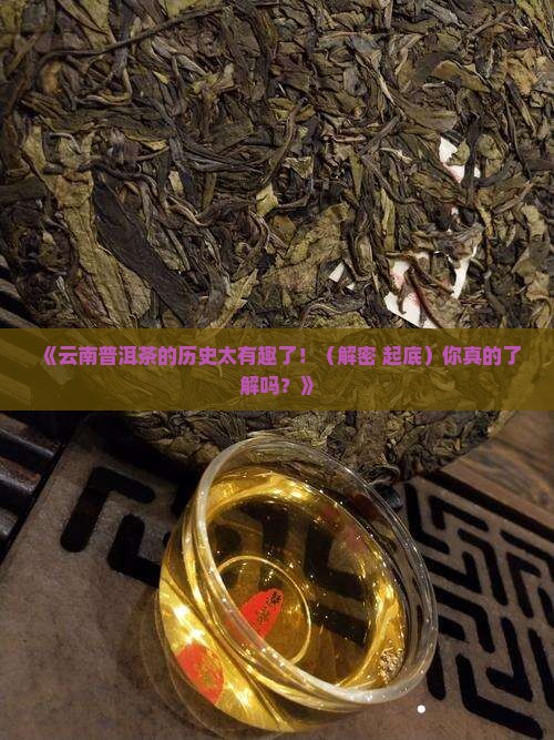 中国云南普洱茶历史 中国云南普洱茶历史