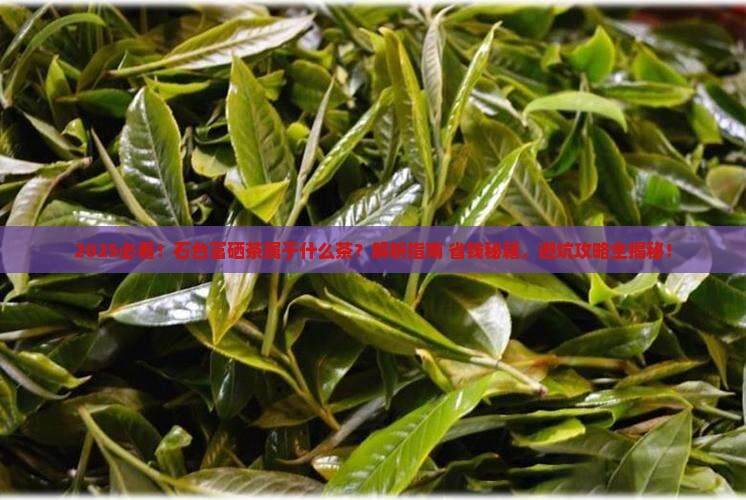 石台富硒茶属于什么茶