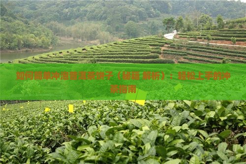 如何简单冲泡普洱茶饼子