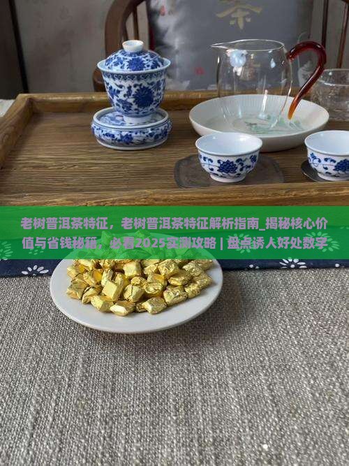 老树普洱茶特征