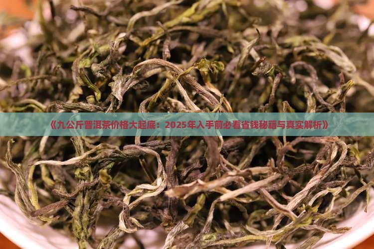 九公斤普洱茶价格表