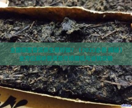 全国哪里普洱茶生意好做