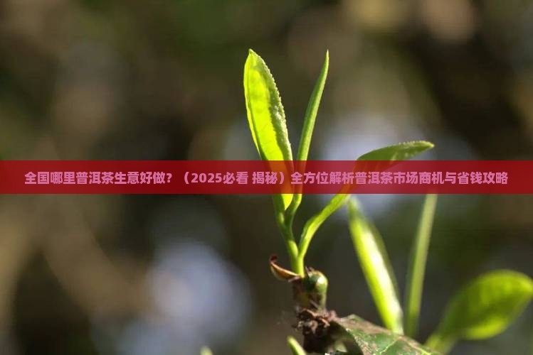 全国哪里普洱茶生意好做