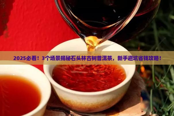 石头林古树普洱茶