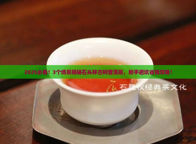 石头林古树普洱茶