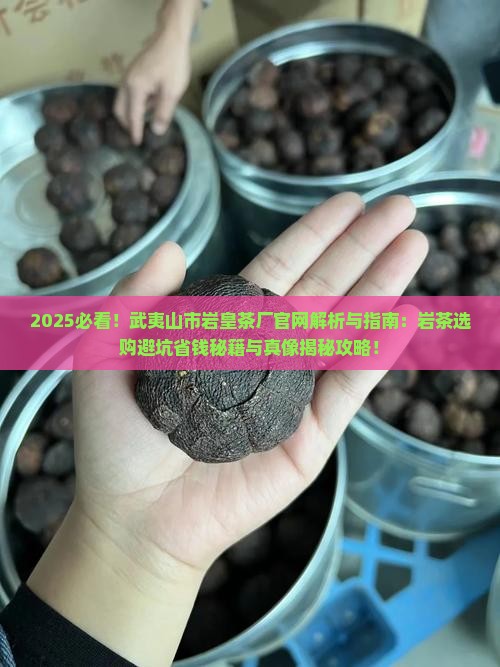 武夷山市岩皇茶厂官网