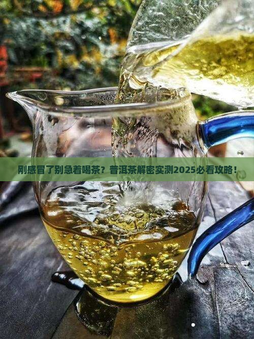 刚感冒能喝普洱茶吗 刚感冒能喝普洱茶吗