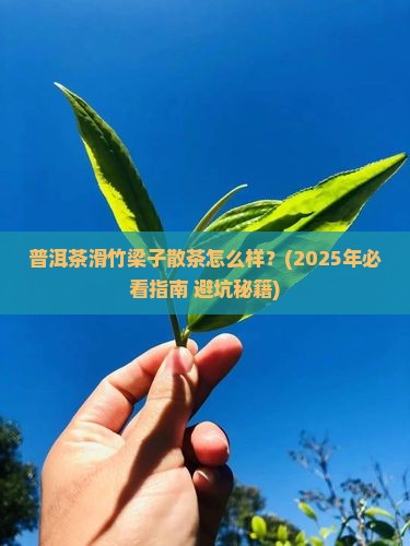 普洱茶滑竹梁子散茶