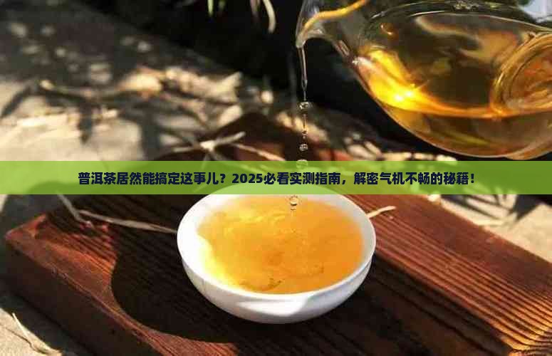 普洱茶可调节气机不畅