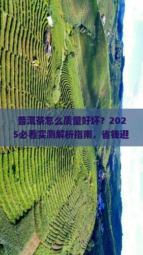 普洱茶怎么质量好坏