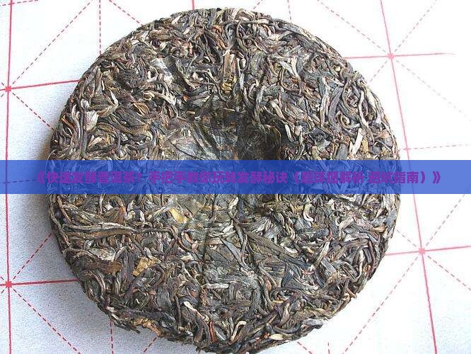 快速发酵普洱茶