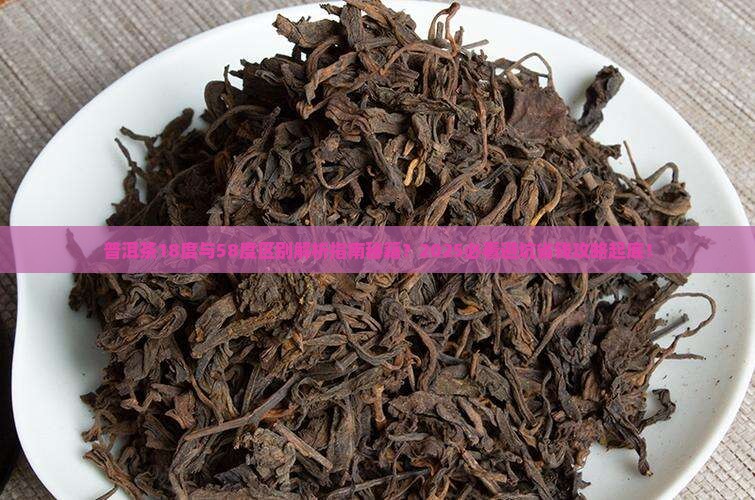 普洱茶18度与58度区别