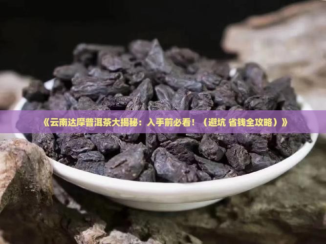 云南达摩普洱茶