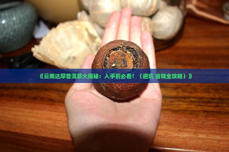 云南达摩普洱茶
