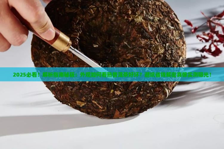 外观怎么看熟普洱茶的好坏