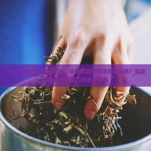 中茶牌圆茶和冰岛普洱茶
