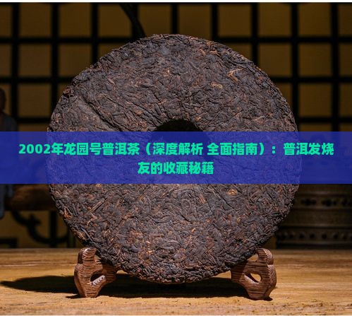 2002年龙园号普洱茶