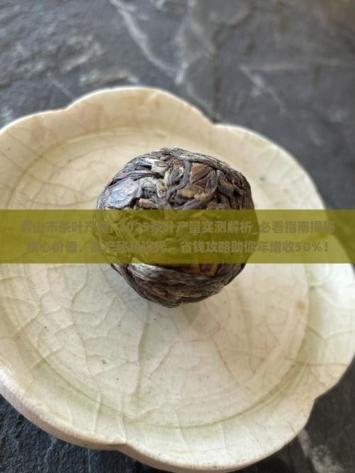 黄山市茶叶产量