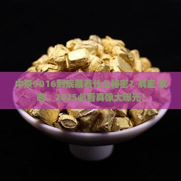 中茶9016是什么意思