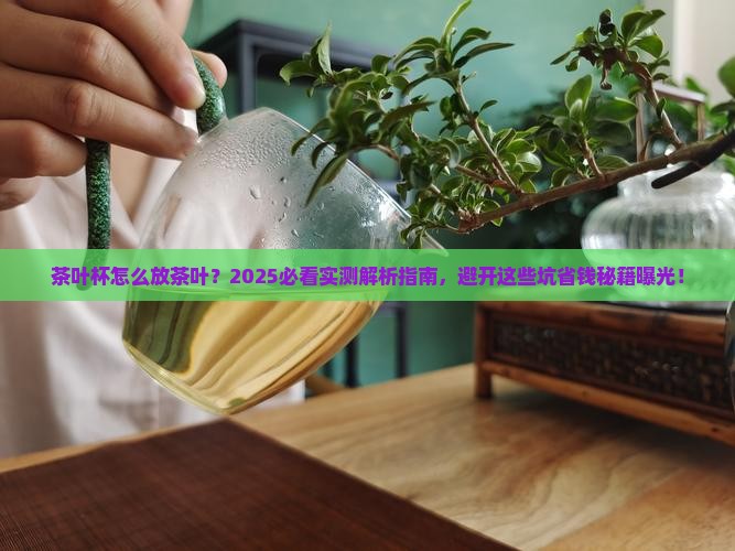 茶叶杯怎么放茶叶