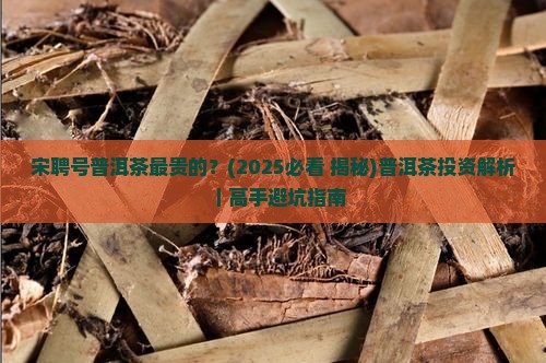 宋聘号普洱茶最贵的