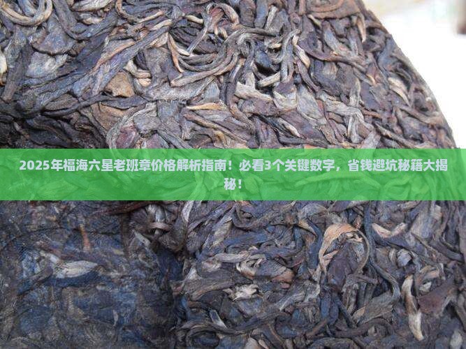 福海六星老班章今日价格