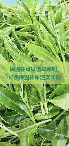 保温杯可以泡红茶吗 保温杯可以泡红茶吗