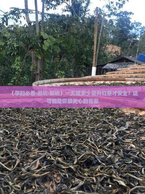 孕妇一天可以喝多少毫升红茶