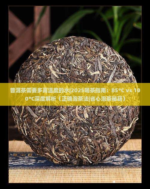 普洱茶需要多高温度的水