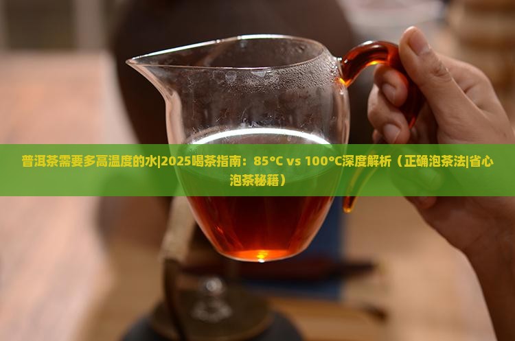 普洱茶需要多高温度的水