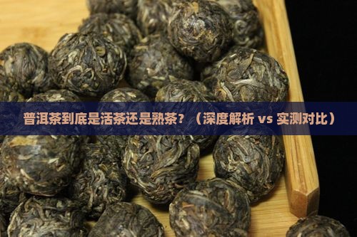 普洱茶是活茶吗还是熟茶