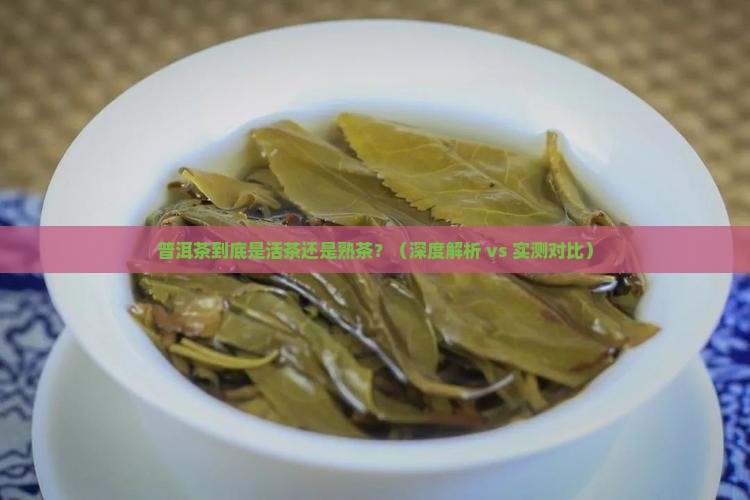 普洱茶是活茶吗还是熟茶