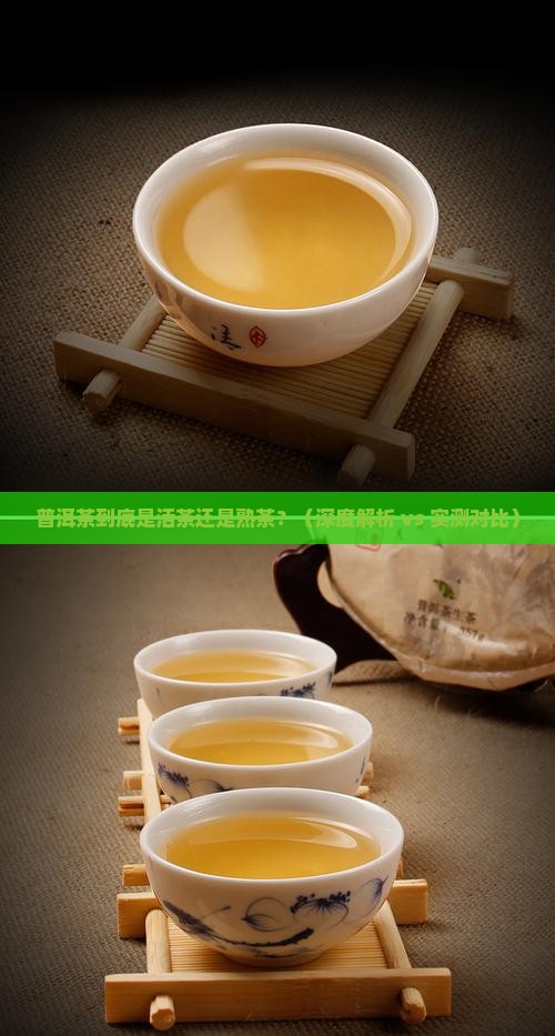 普洱茶是活茶吗还是熟茶