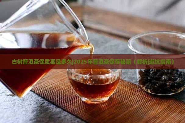 古树普洱茶保质期是多久