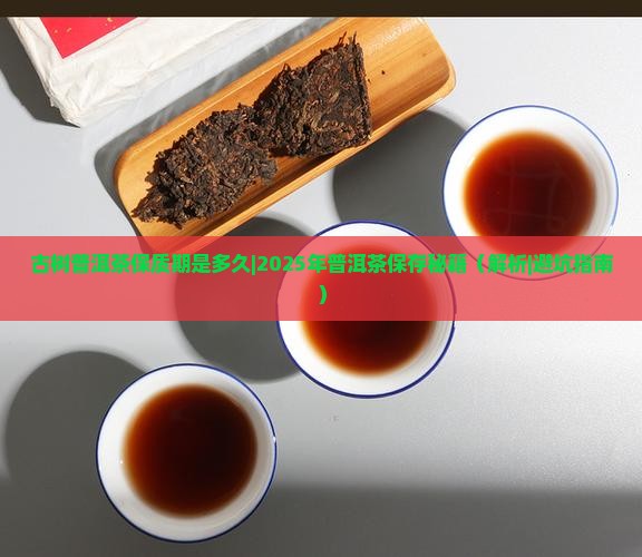 古树普洱茶保质期是多久