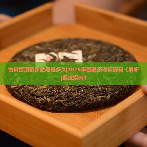 古树普洱茶保质期是多久