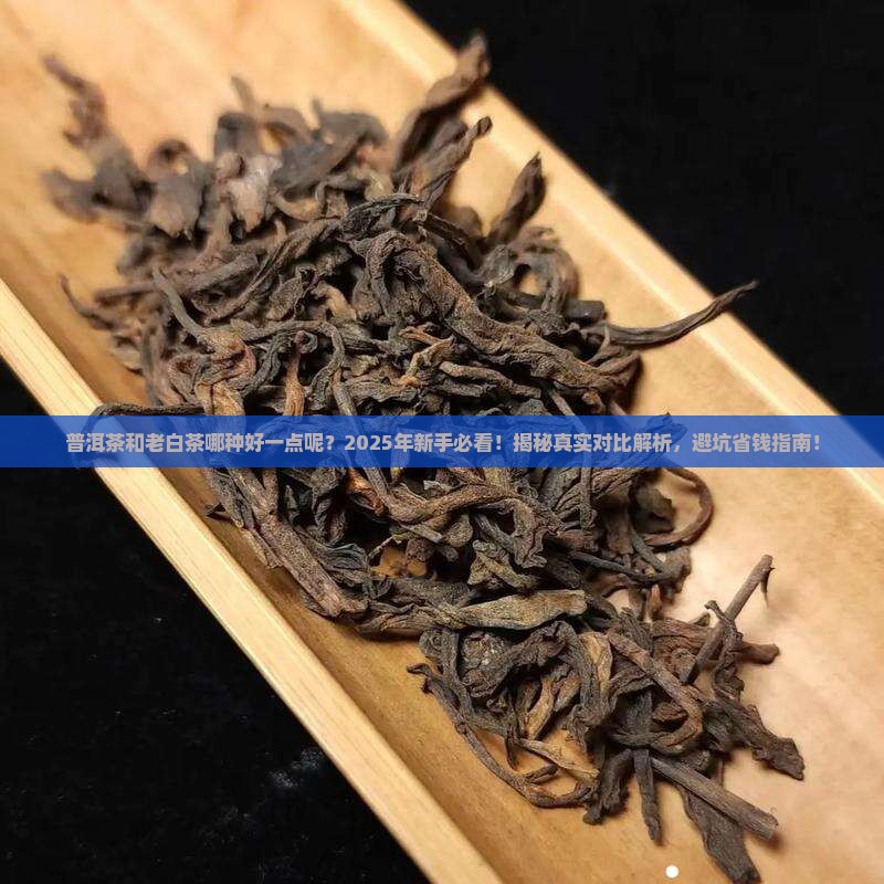 普洱茶和老白茶哪种好一点呢