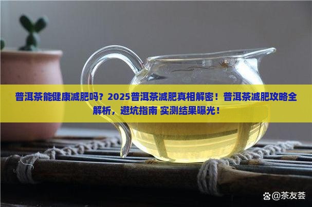 普洱茶健康减肥产品