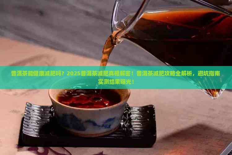 普洱茶健康减肥产品