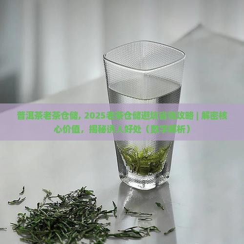 普洱茶老茶仓储