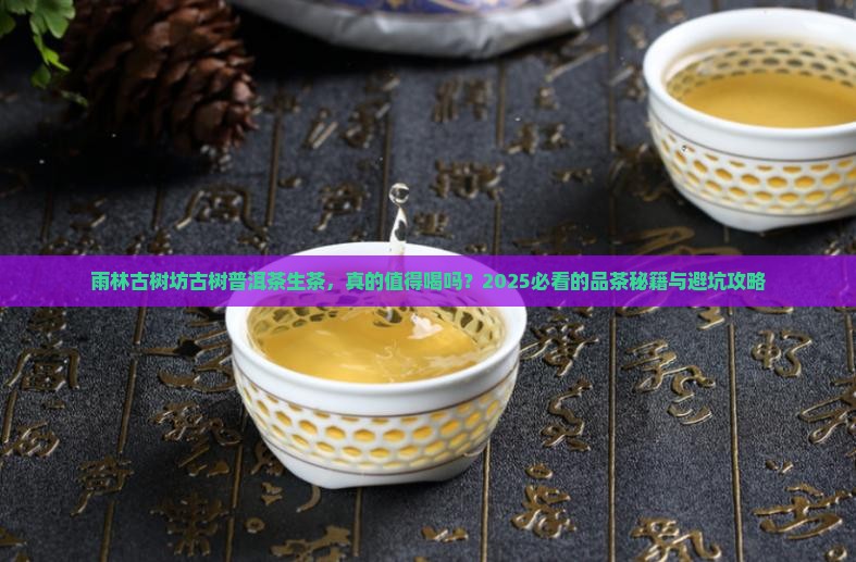 雨林古树坊古树普洱茶生茶
