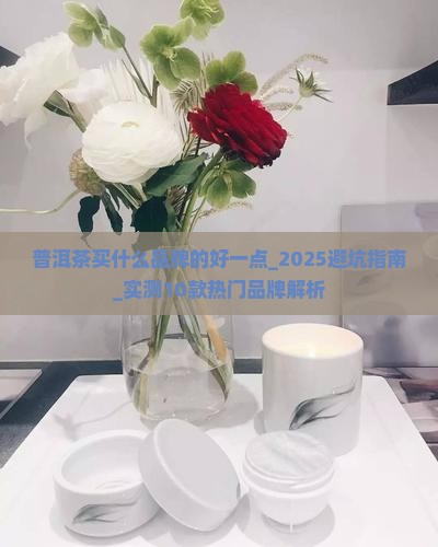 普洱茶买什么品牌的好一点