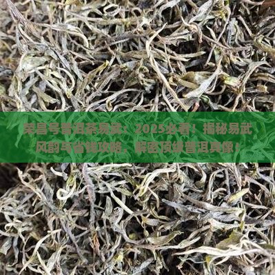 荣昌号普洱茶易武