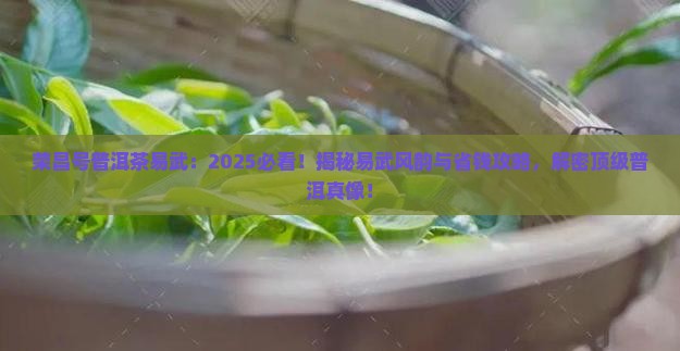 荣昌号普洱茶易武