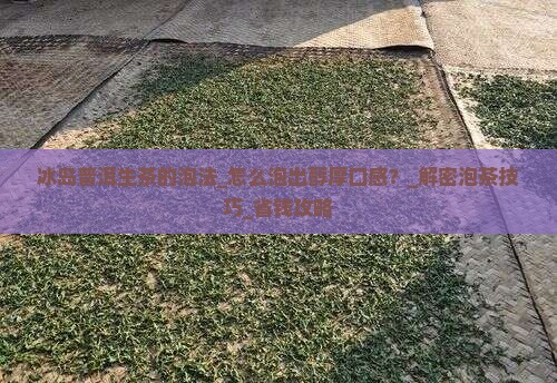 冰岛普洱生茶的泡法