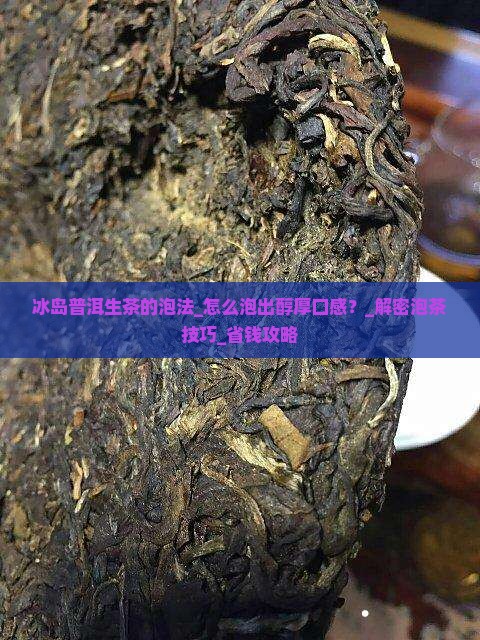 冰岛普洱生茶的泡法