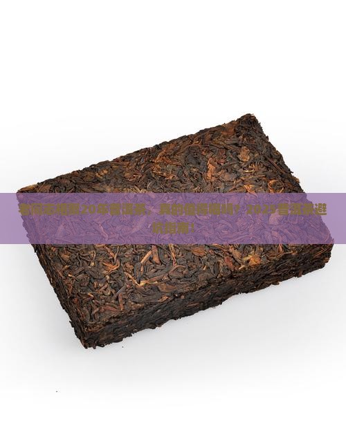 老同志相聚20年普洱茶