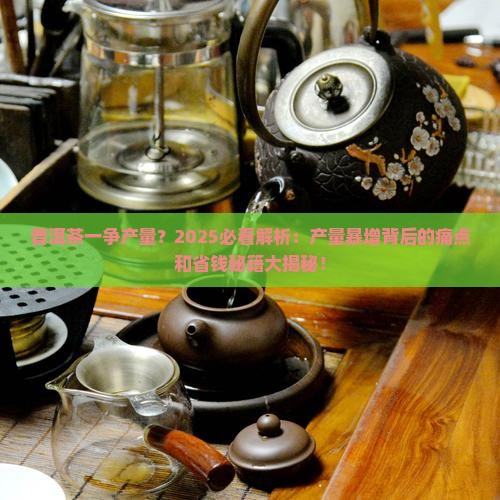 普洱茶一争产量