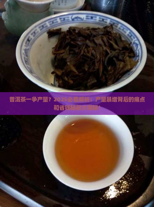 普洱茶一争产量